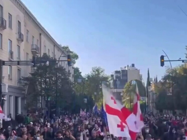 В Тбилиси оппозиция начала "мирную революцию"
