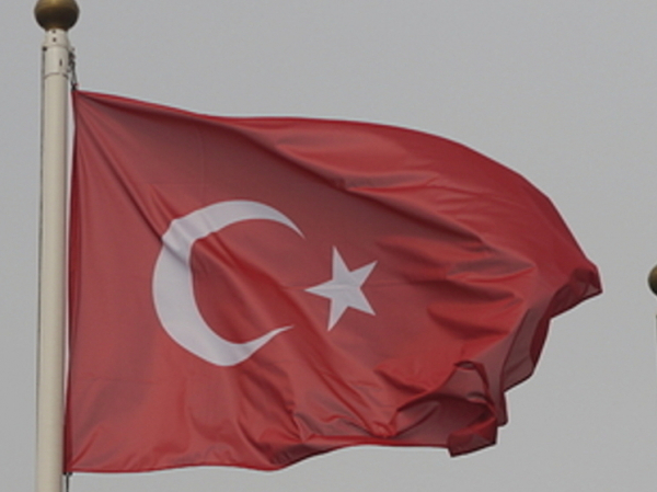 В Турции заявили о сильном давлении США из-за отношений с Россией