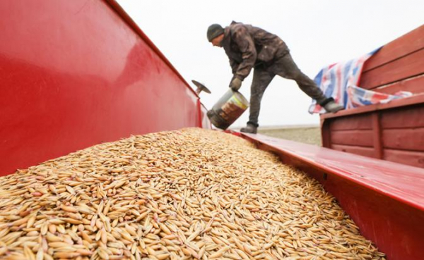 Василий Мельниченко: «Духовное возрождение России начнется не в городе, а на селе»