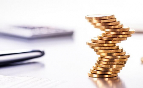 Власть волнуется, что &laquo;сазаны&raquo; зажрались. Депутаты начали переписку с министрами об отмене льготного НПД