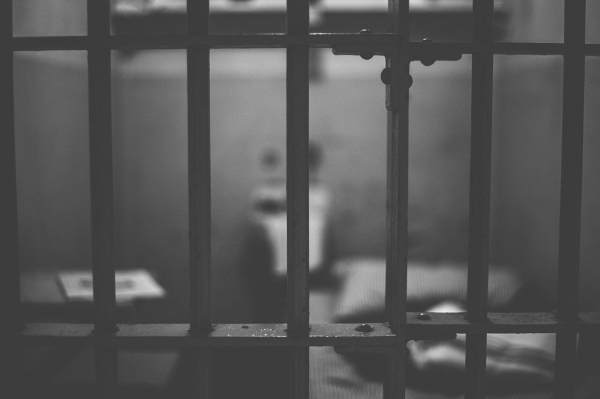 Жителей Австрии возмутила стоимость заключенного весом 289 кг